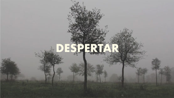 Despertar